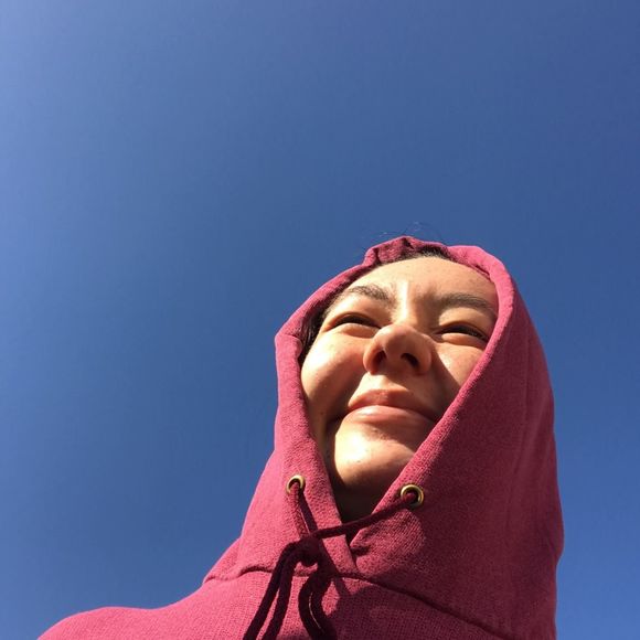 dinochicken99